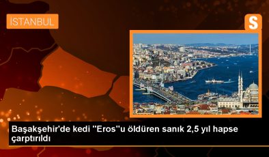 Başakşehir’de kedi “Eros”u öldüren sanık 2,5 yıl hapse çarptırıldı