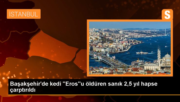 Başakşehir’de kedi “Eros”u öldüren sanık 2,5 yıl hapse çarptırıldı