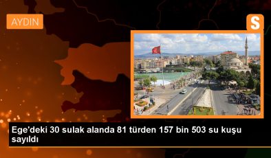 İzmir, Manisa, Aydın ve Muğla’da 30 sulak alanda 157 bin 503 su kuşu tespit edildi