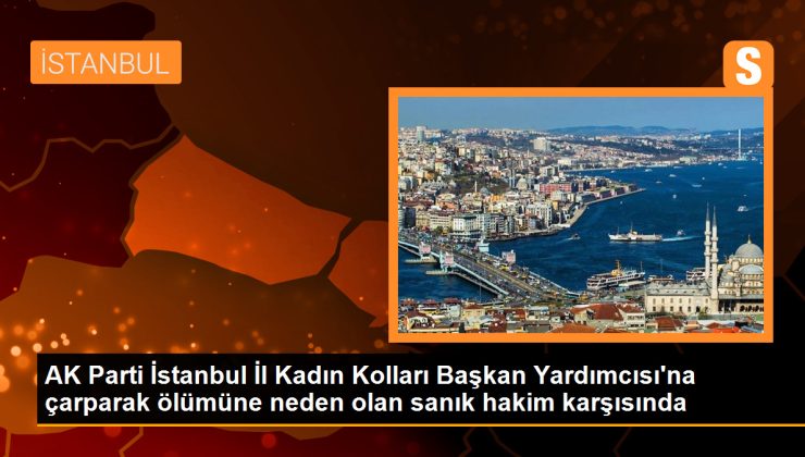 AK Parti İstanbul İl Kadın Kolları Başkan Yardımcısı’nın Ölümüyle Sonuçlanan Kaza Davasında Sanık Hakim Karşısına Çıktı