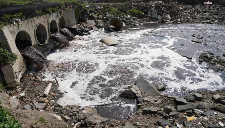 CHP ve çevre örgütleri Ergene Nehri’ndeki kirliliğe dikkat çekti