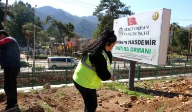 Marmaris’te Orman Haftası etkinliği: Binlerce fidan toprakla buluştu