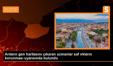 Türkiye’deki Saf Arı Irkı Sayısı Azaldı