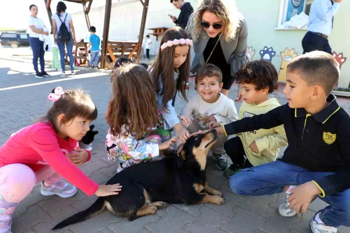 Muğla’da Dünya Hayvanları Koruma Günü Kutlandı